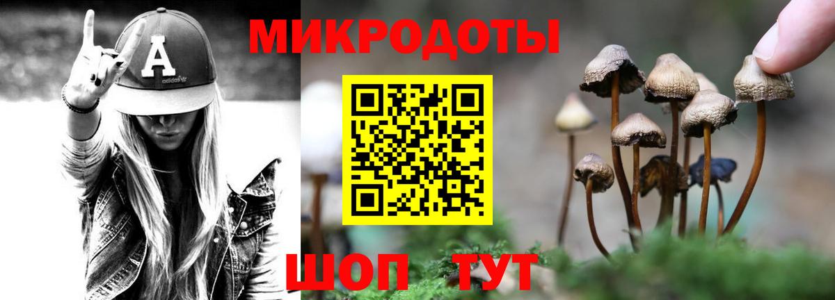 Северобайкальск  Псилоцибиновые грибы прущие грибы  Вход с VPN 